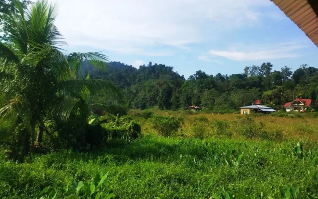 Nelmann's Nipa Huts
