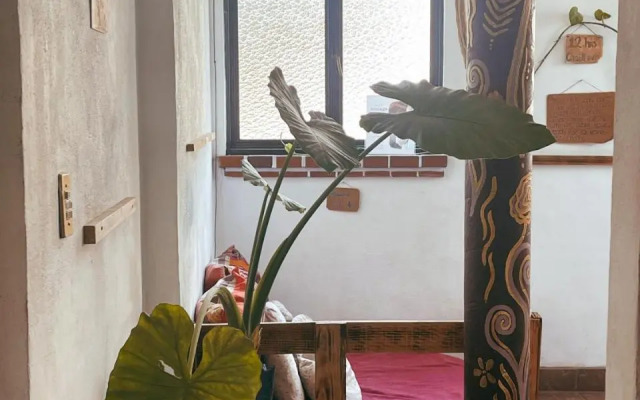 Natural Mystic Hostal