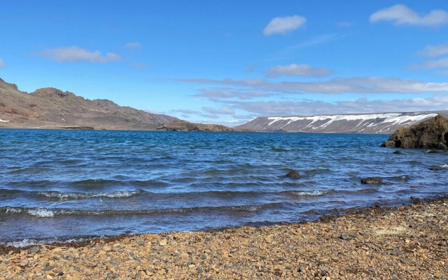 Arctic Wind