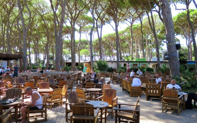 Park Albatros San Vincenzo