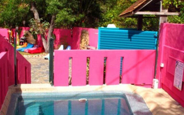 Dolphins Beach House - Hostel