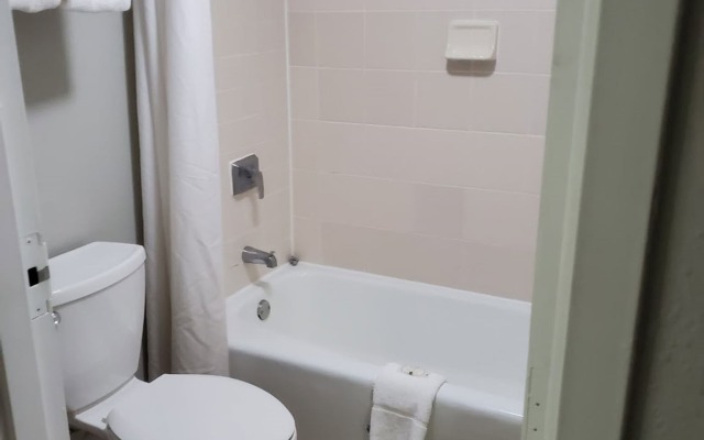 Quality Inn & Suites St Augustine Beach Area