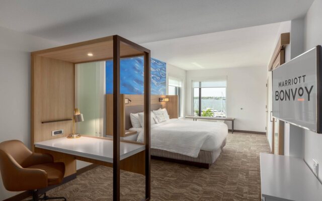 SpringHill Suites by Marriott Bradenton Downtown/Riverfront