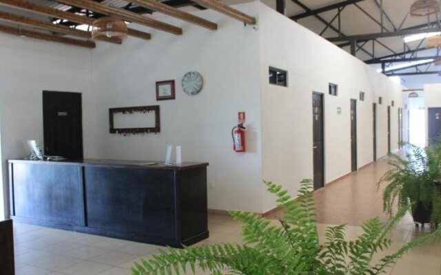 Real Primaveras Campestre