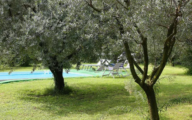 BB San Giorgio Lazise