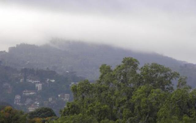 Homestay Kelvin Grove