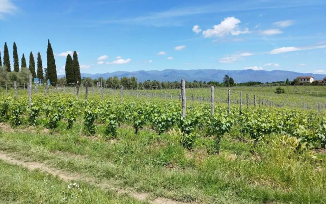 Agriturismo Tenuta San Jacopo