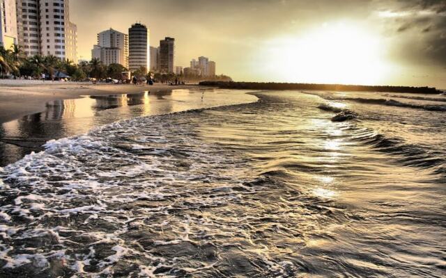 Apartamentos Palmetto - Frente al Mar