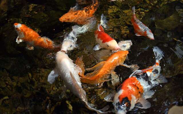 Woolley’s Classic Suites