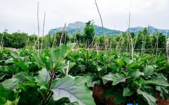 Qufu Shenghushanzhuang (Nishan Shengjing Luxuancun Scenic Area Store)