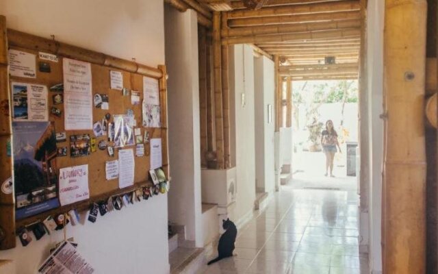La Tortuga Hostel