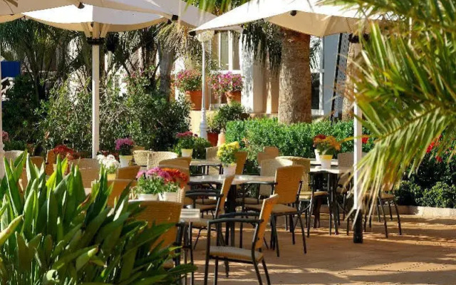 Oliva Beach Club
