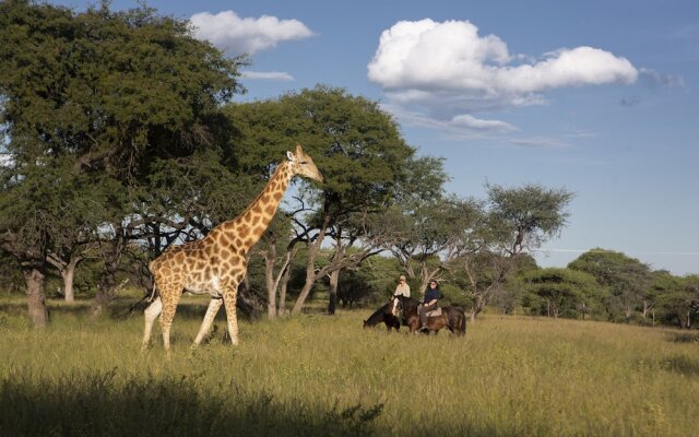 Royal Tree Lodge