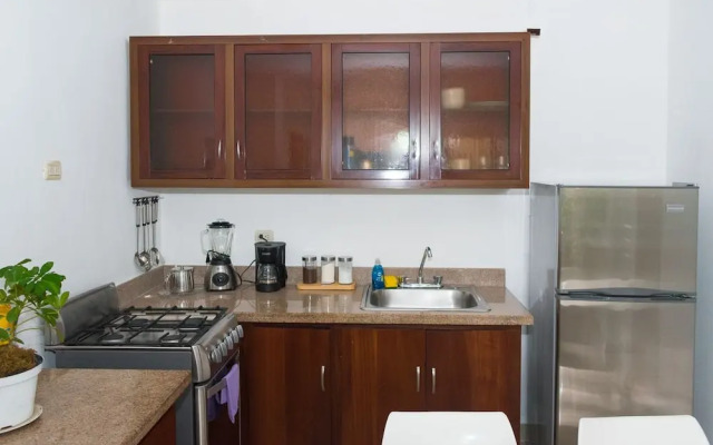Apartment in Santiago
