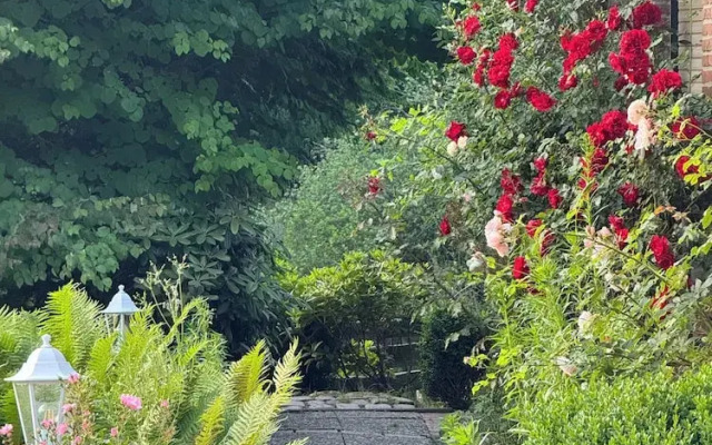 AMAYA Hotel & Suites