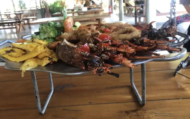 Branca Tropical Brasil Residencial