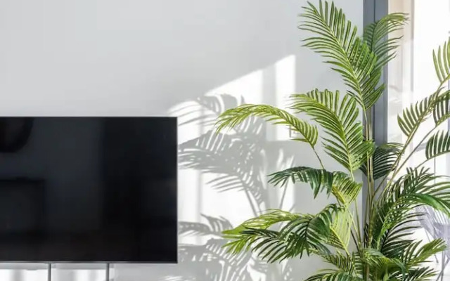 Silkhaus Bellevue, Downtown Dubai