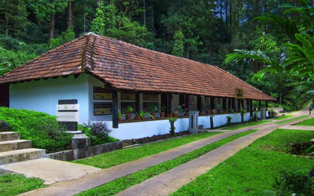 The Tamara Coorg