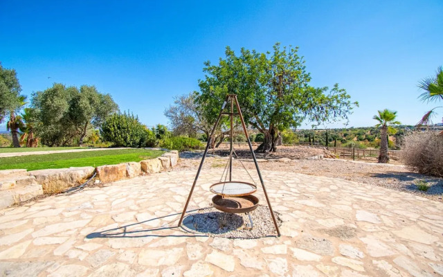 Yoba Horse Farm in Carvoeiro