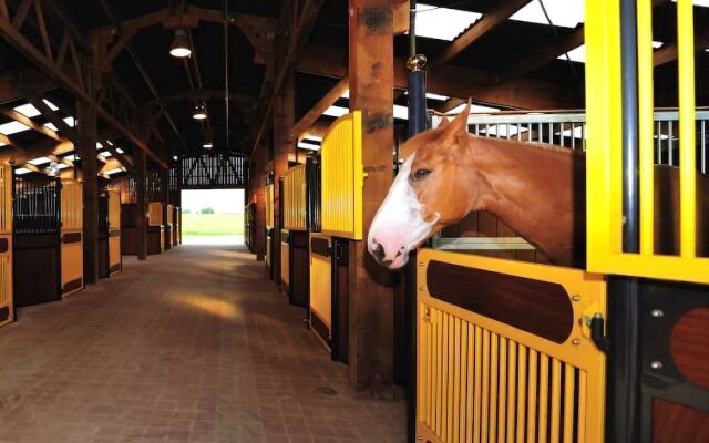 Le Domaine Chateau du Faucon