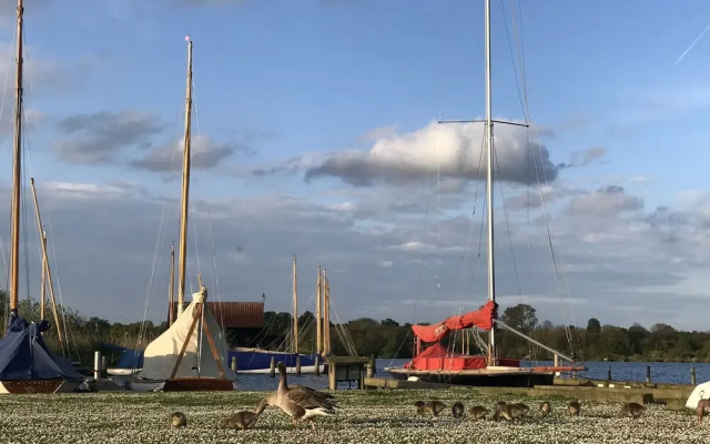 Foxglove Bell Tent in The Broads National Park