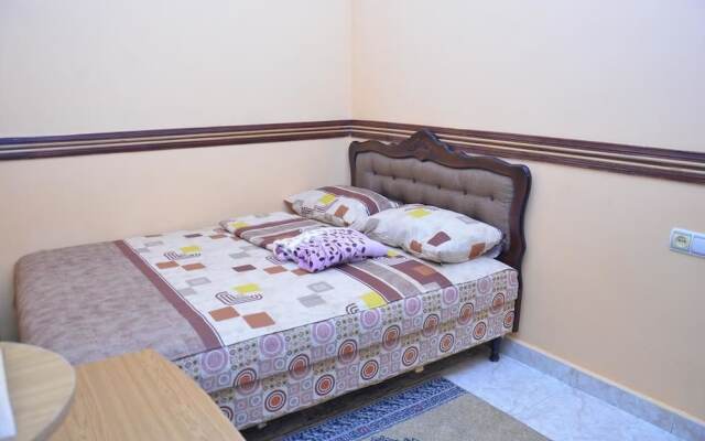 Green Hostel and Tours