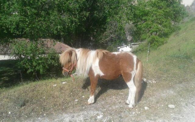 Casa Turismo Rural Pantano de Burgomillodo