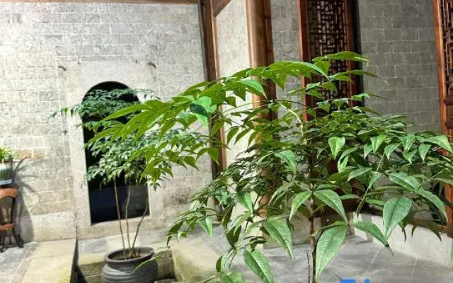 Song‘s yard（BNB）