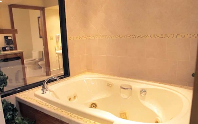 Sybaris Pool Suites Indianapolis