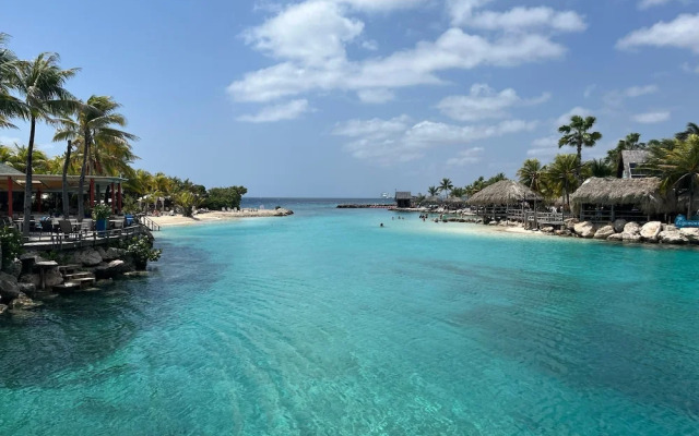 Villa pura vida with pool at mambo beach