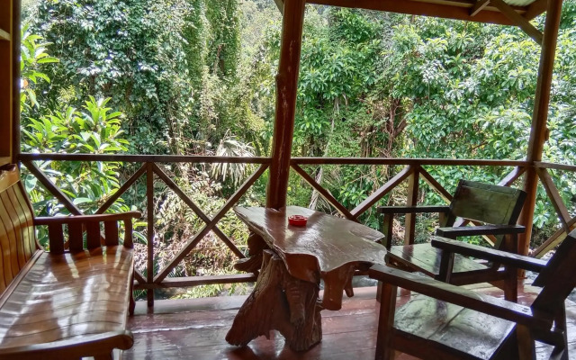 Tree Top River Huts