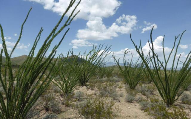 Tombstone Monument Guest Ranch