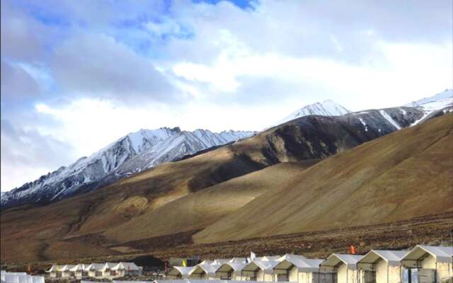 Royal Camp - Pangong