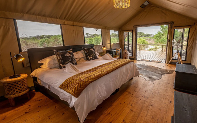 Mogotlho Safari Lodge