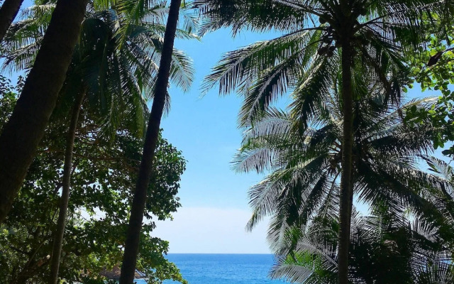 Coastal 1bed Infinity Pool Walk to Great Beach