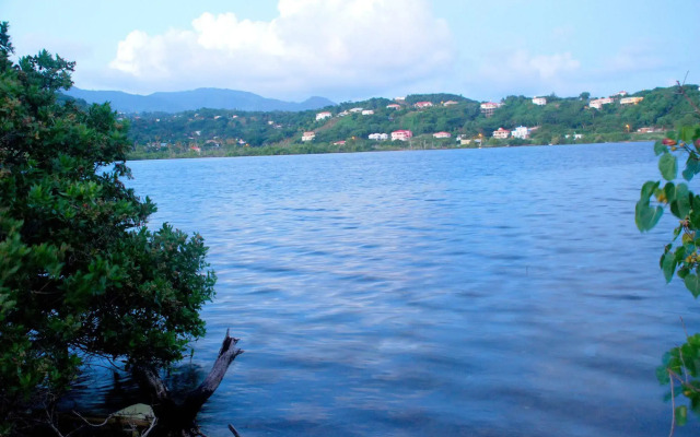 Villa Solitaire