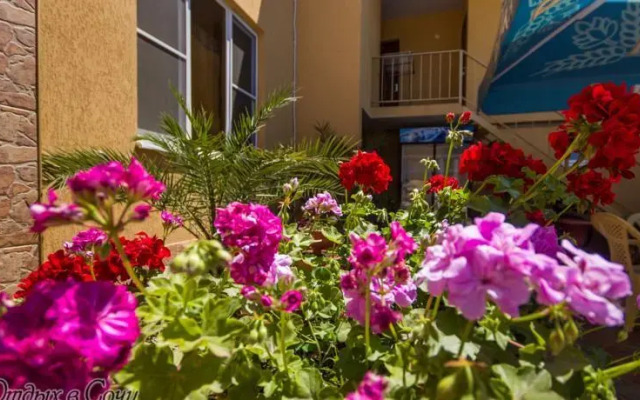 Alina Guest House