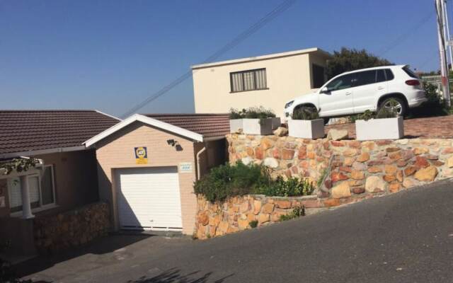 Watching Waves Heron Chase