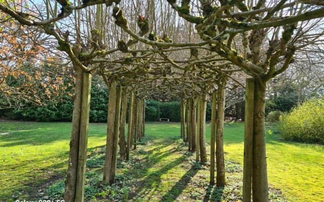The Reading whole chalet