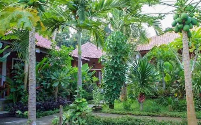 Solaluna Beach Homestay