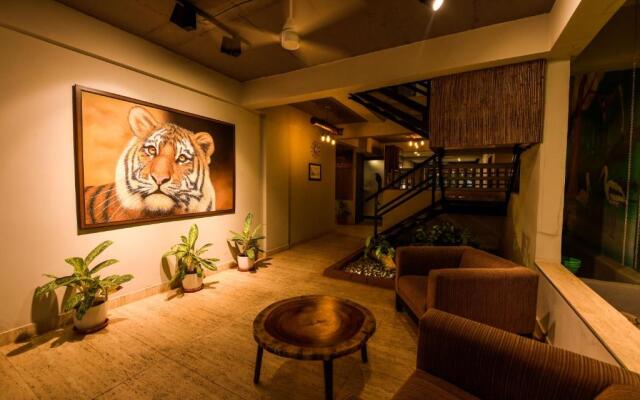 Safari Quest