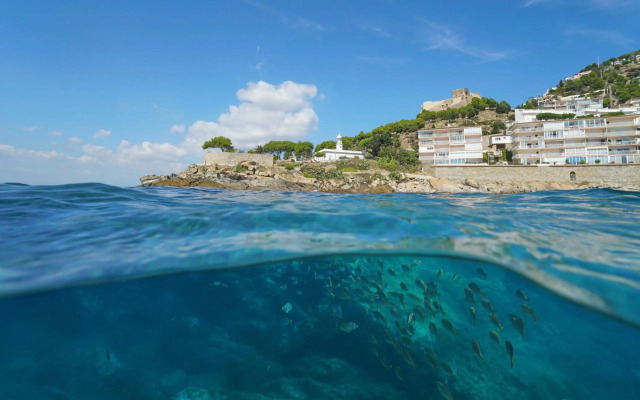 Sevilla 1 1B Roses - Barneda