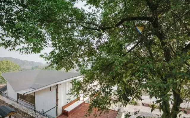 xinbo nanshan homestay