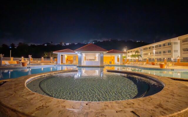 Golden Dream Studio 306 B