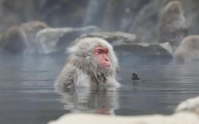 Guesthouse Matsushiro Walkers