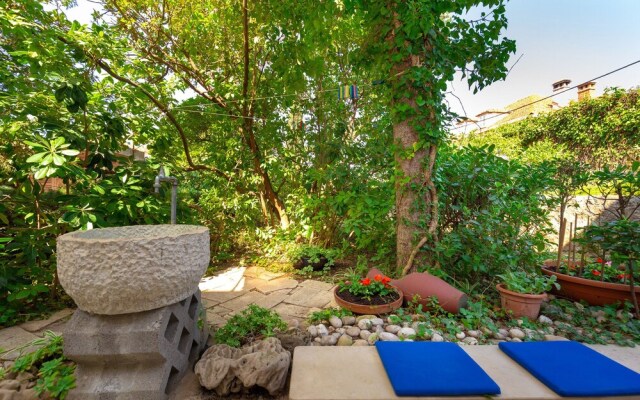 Hedera Estate - Hedera S4