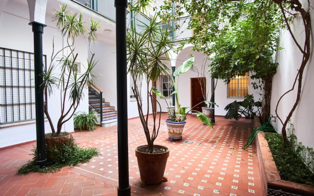 Pureza Oasis by Valcambre