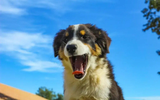 Tenuta Tedone Consolini