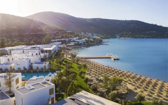 Voyage Torba Private