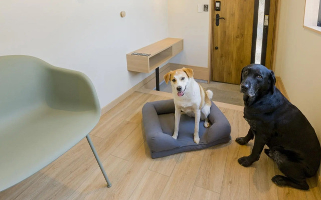 Rakuten STAY VILLA FujiKawaguchiko Forest